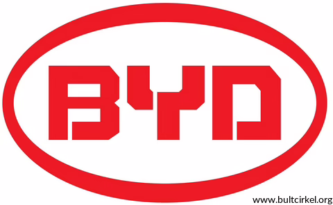 BYD däckdimensioner
